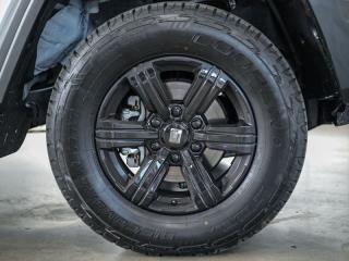 GWM Tank 300 2.4T Luxury