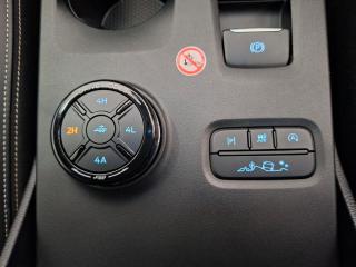 Ford Everest 3.0TD V6 4WD Platinum