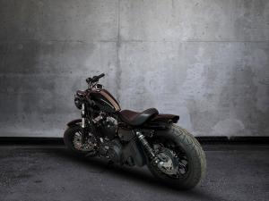 Harley Davidson Sportster XL 1200X Forty Eight - Image 6