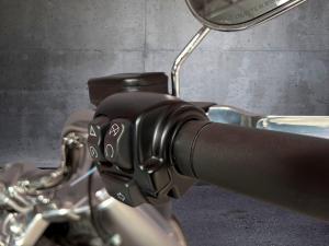 Harley Davidson FAT BOY 114 - Image 10