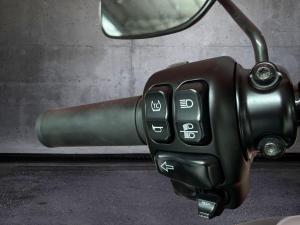 Harley Davidson Road King Special 114 - Image 10