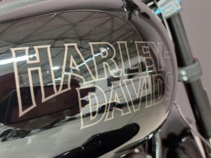 Harley Davidson LOW Rider S 114 - Image 9