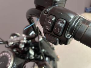 Harley Davidson Heritage Classic 114 - Image 6