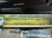 Land Rover Defender 110 D350 X-Dynamic HSE - Thumbnail 16