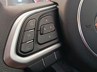 GWM P300 2.0T single cab SX