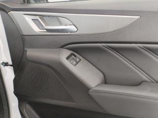 GWM P300 2.0T single cab SX