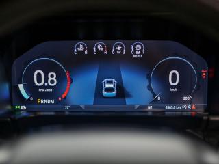 Ford Everest 3.0TD V6 4WD Platinum