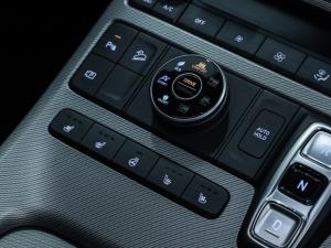 Hyundai Palisade 2.2D 4WD Elite 8-seater - Image 21