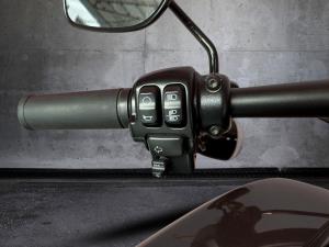 Harley Davidson FAT BOB 114 - Image 10