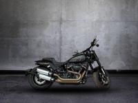 Thumbnail Harley Davidson FAT BOB 114
