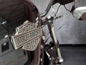 Harley Davidson Sportster XL 1200X Forty Eight - Image 11