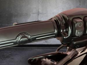 Harley Davidson Sportster XL 1200X Forty Eight - Image 12