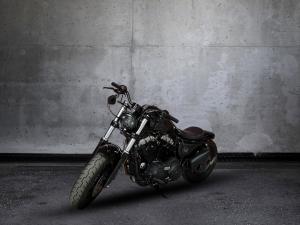 Harley Davidson Sportster XL 1200X Forty Eight - Image 4