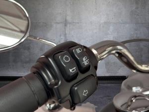 Harley Davidson FAT BOY 114 - Image 11