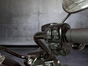 Harley Davidson Road King Special 114 - Image 6