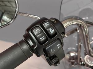 Harley Davidson Heritage Classic 114 - Image 10