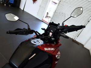 Suzuki DS 250 - Image 10