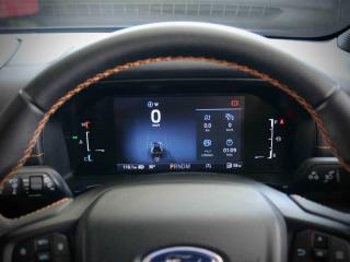 Ford Everest 3.0TD V6 4WD Wildtrak