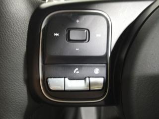 GWM P300 2.4T double cab LT