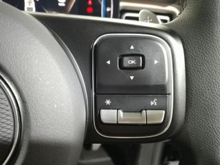 GWM P300 2.4T double cab LT