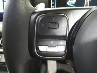 GWM P300 2.4T double cab LTD 4x4