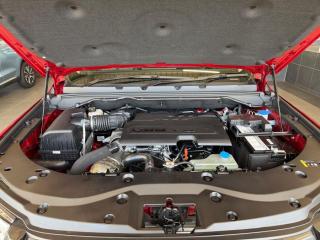 GWM P300 2.4T double cab LS