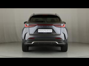 Lexus NX 450h+ F Sport - Image 5