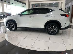Lexus NX 250 EX - Image 5