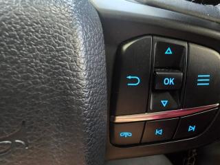 Ford Everest 3.0TD V6 4WD Platinum