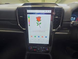 Ford Everest 3.0TD V6 4WD Platinum