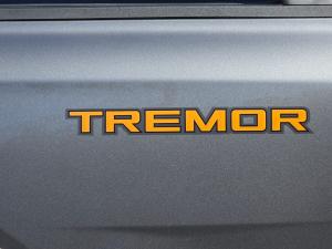 Ford Ranger 2.0 BiTurbo double cab Tremor 4WD - Image 11