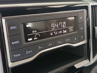 GWM P300 2.0T single cab SX