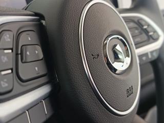 GWM P300 2.0T single cab SX