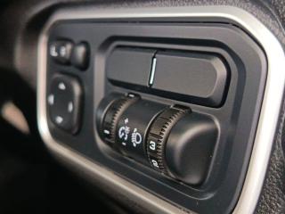 GWM P300 2.0T single cab SX