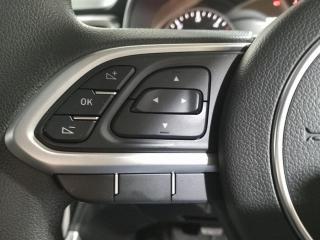 GWM P-Series 2.0TD double cab SX manual