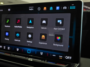 Volkswagen Tiguan 2.0TSI R-Line 4Motion - Image 13