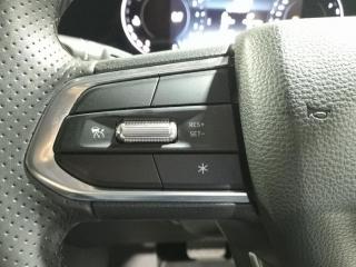 Ford Territory 1.8T Trend