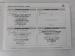 Mitsubishi Triton 2.4DI-D double cab auto - Thumbnail 22