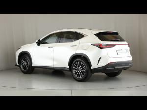 Lexus NX 350h EX - Image 21
