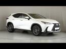 Thumbnail Lexus NX 350h EX