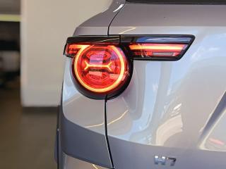 Haval H7 2.0T Luxury Black Edition