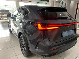 Lexus NX 350h EX - Image 7
