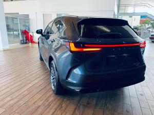 Lexus NX 350h EX - Image 6