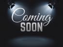 Thumbnail GWM P300 2.4T double cab LTD 4x4