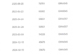 GWM P-SERIES 2.0TD SX S/C - Image 4