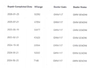 GWM P-SERIES 2.0TD SX S/C - Image 4