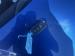 Volkswagen Polo Vivo hatch 1.6 Style - Thumbnail 17