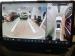 Haval H6 1.5T PHEV Ultra Luxury - Thumbnail 12