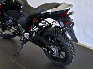 Suzuki DS 250 - Image 2