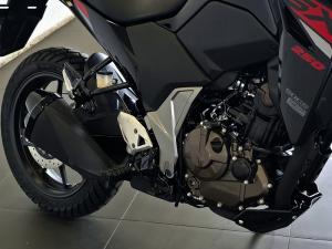 Suzuki DS 250 - Image 7
